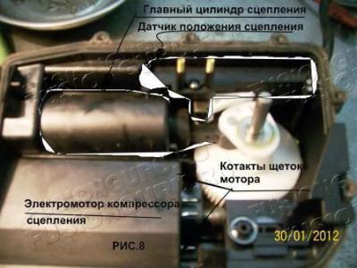 иус