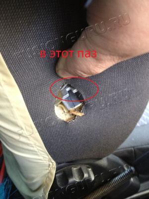 Паз