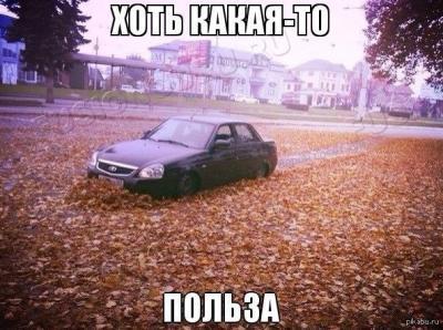 польза