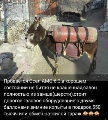 Продается Осел