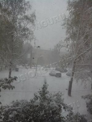 погодка