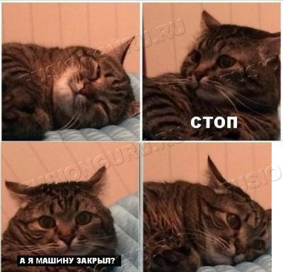 прикол2