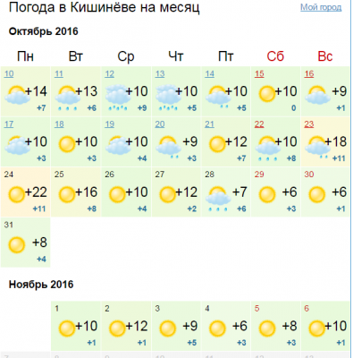 Снимок