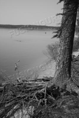 Новая фотография
