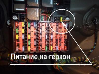 Новая фотография